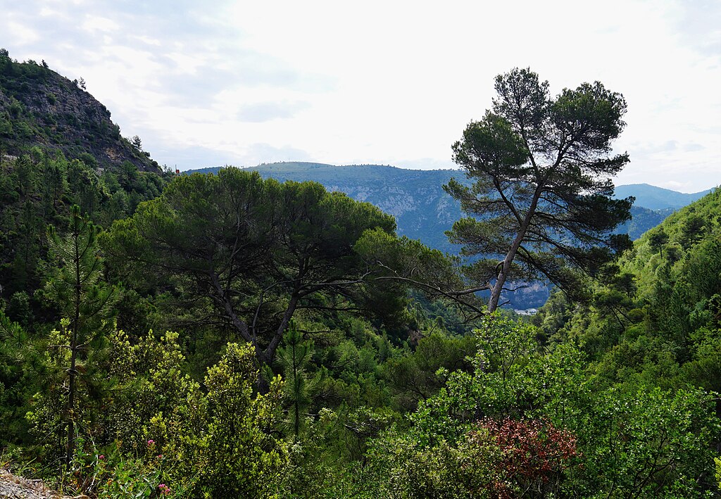 Panneaux photovoltaïques Alpes-Maritimes