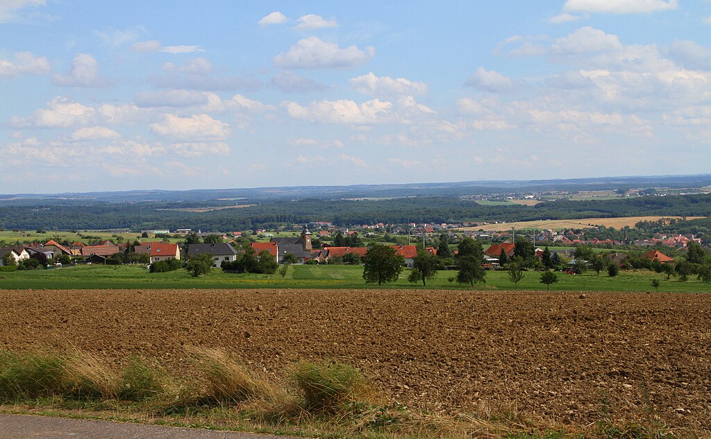 Panneaux photovoltaïques Moselle