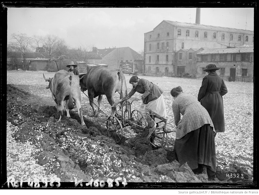Panneaux photovoltaïques Val-de-Marne