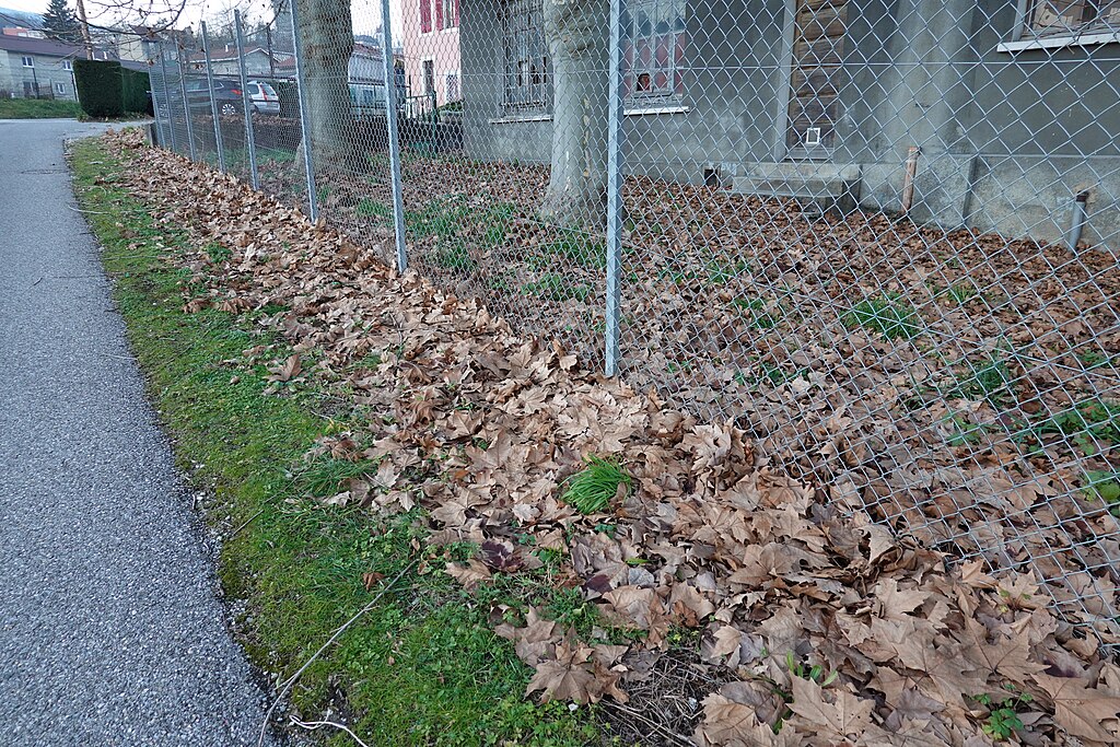 Panneaux photovoltaïques Bellegarde-sur-Valserine