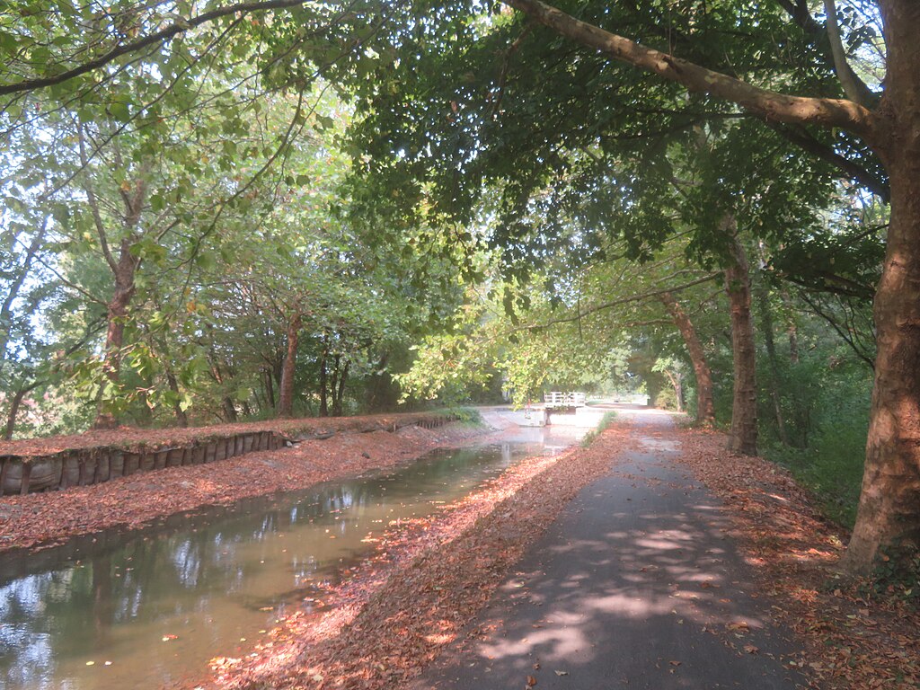 Panneaux photovoltaïques Vierzon