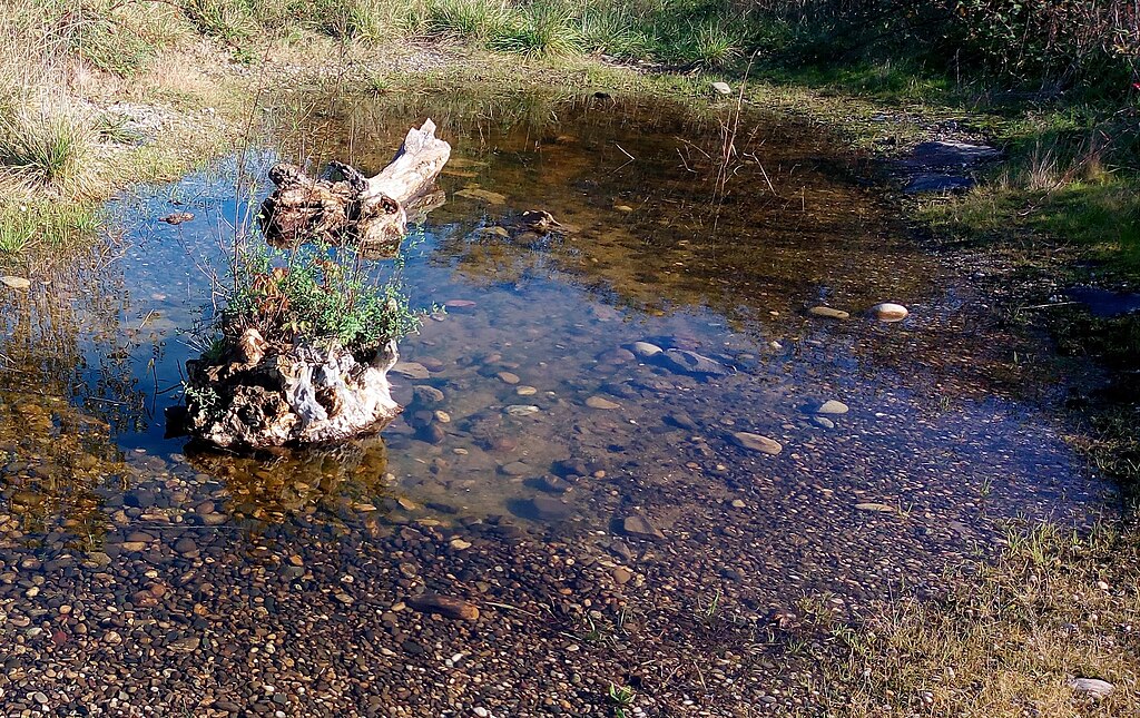 Panneaux photovoltaïques Wittenheim