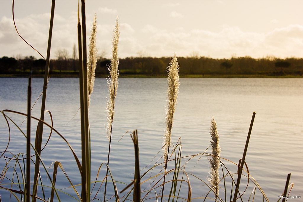 Panneaux photovoltaïques Tournefeuille