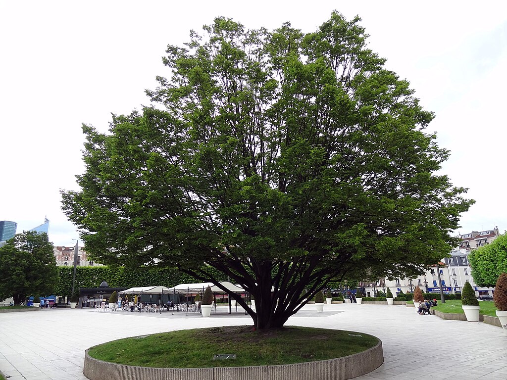 Panneaux photovoltaïques Puteaux