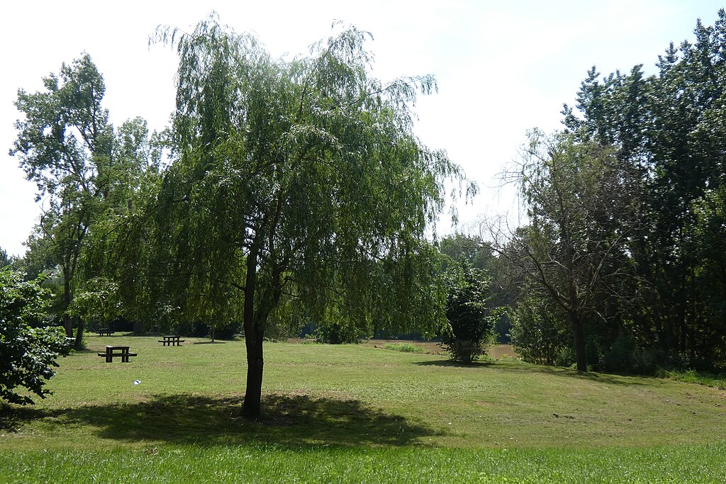 Panneaux photovoltaïques Marmande