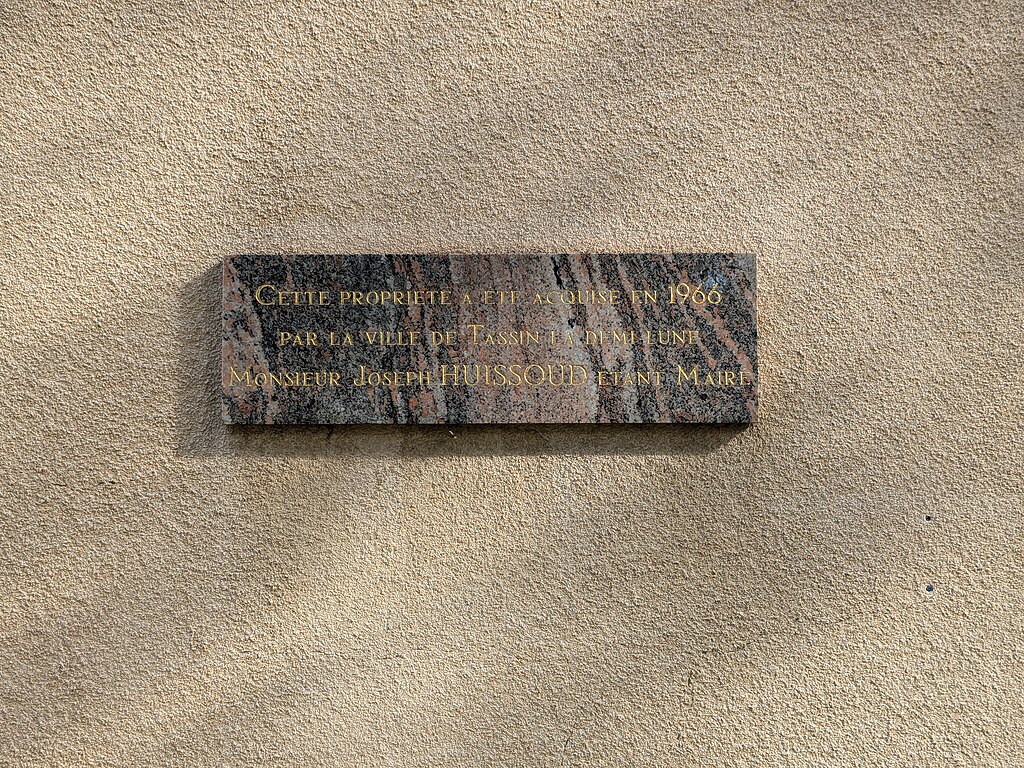 Panneaux photovoltaïques Tassin-la-Demi-Lune