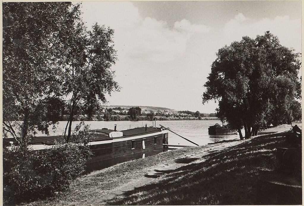 Panneaux photovoltaïques Carrières-sous-Poissy